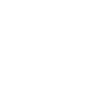 ieics